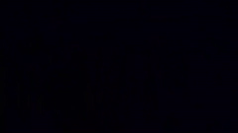 sladkoesolnishko  28-11-2022